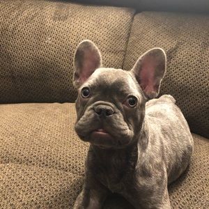 Meet your Posher, Jason